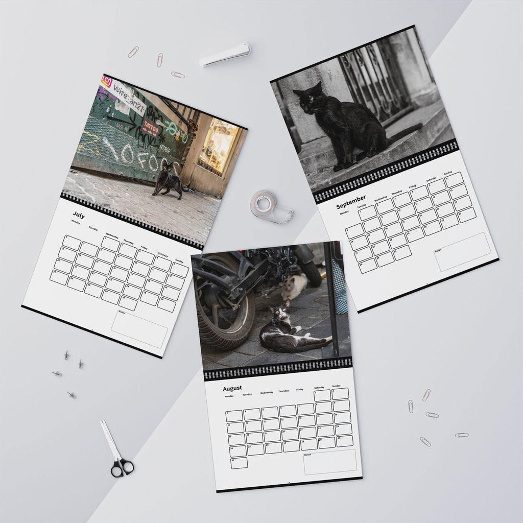 Street Cat Wall Calendar 2026 Istanbul Cats Theme