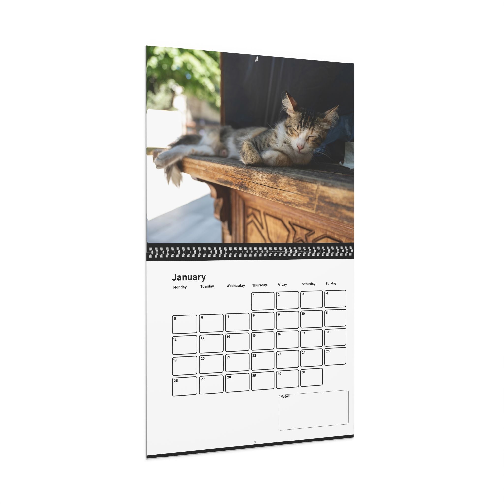 Street Cat Wall Calendar 2026 Istanbul Cats Theme