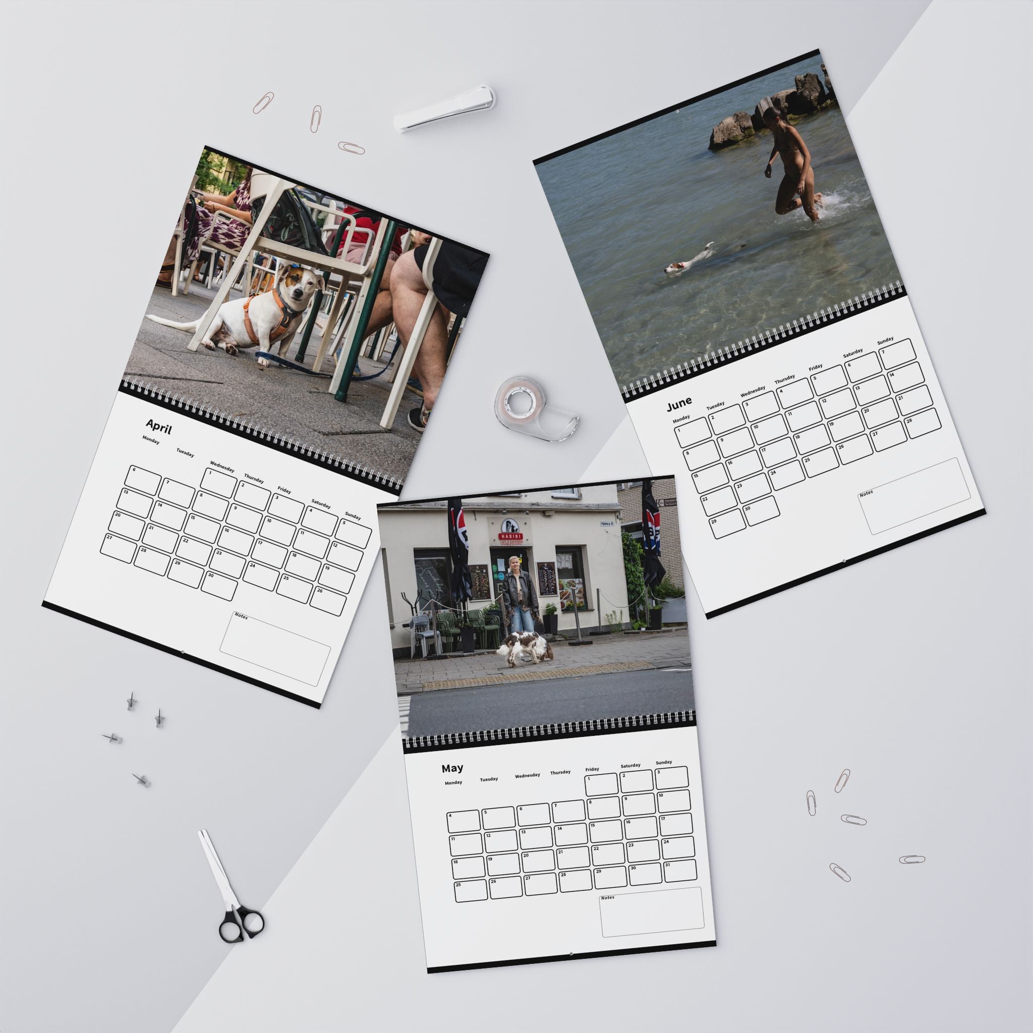 Dog Lover's 2026 Wall Calendar, Custom Dog Calendar, Gift Calendar, Desk Calendar with Photos, Personalized Calendar 2026