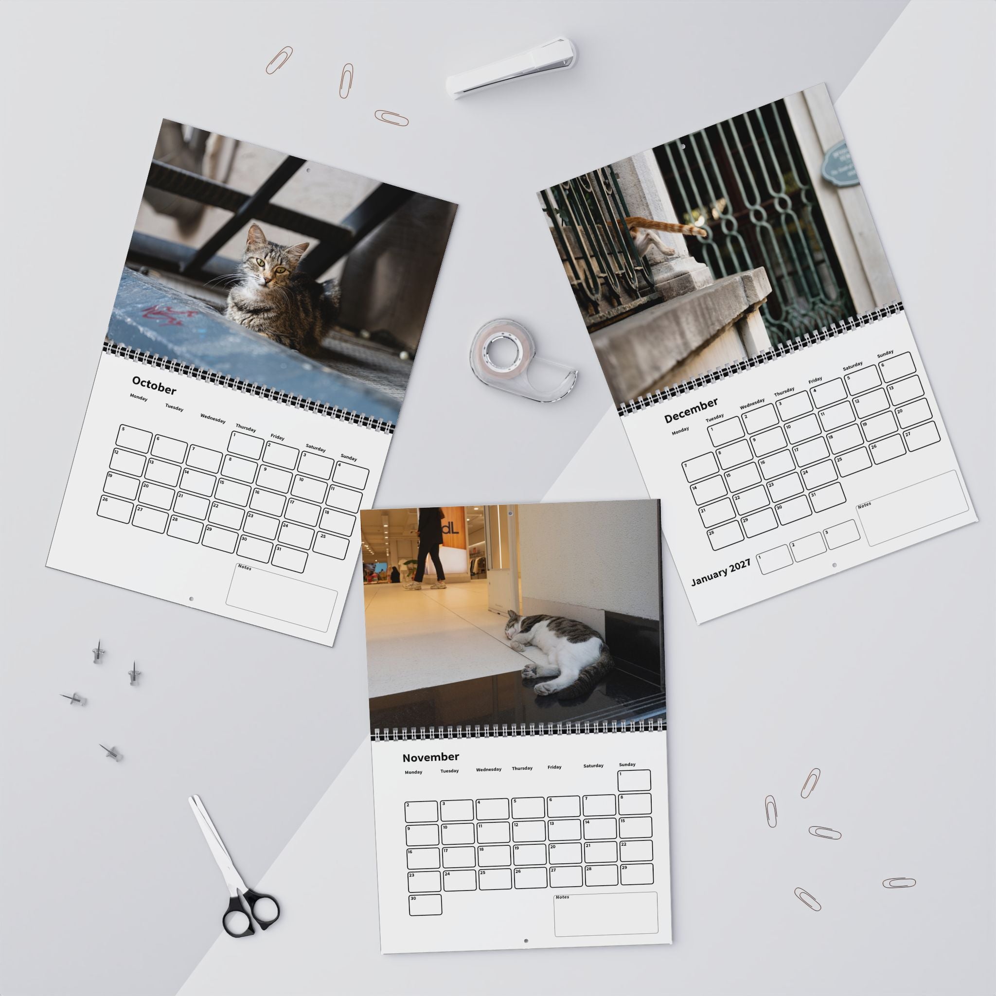 Street Cat Wall Calendar 2026 Istanbul Cats Theme