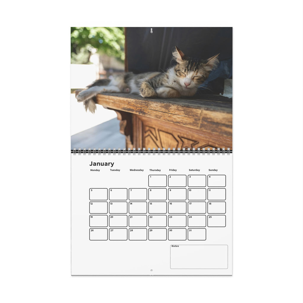 Street Cat Wall Calendar 2026 Istanbul Cats Theme
