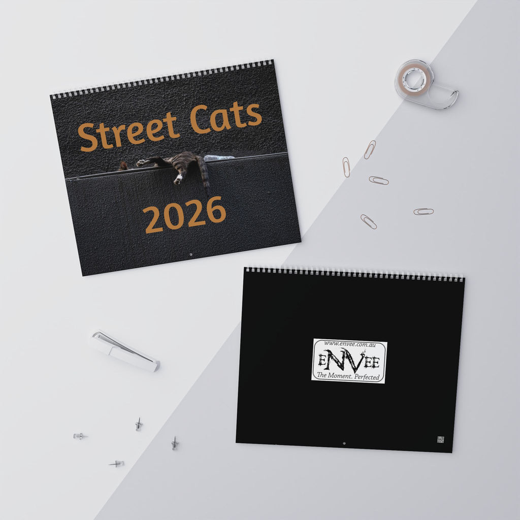 Street Cat Wall Calendar 2026 Istanbul Cats Theme
