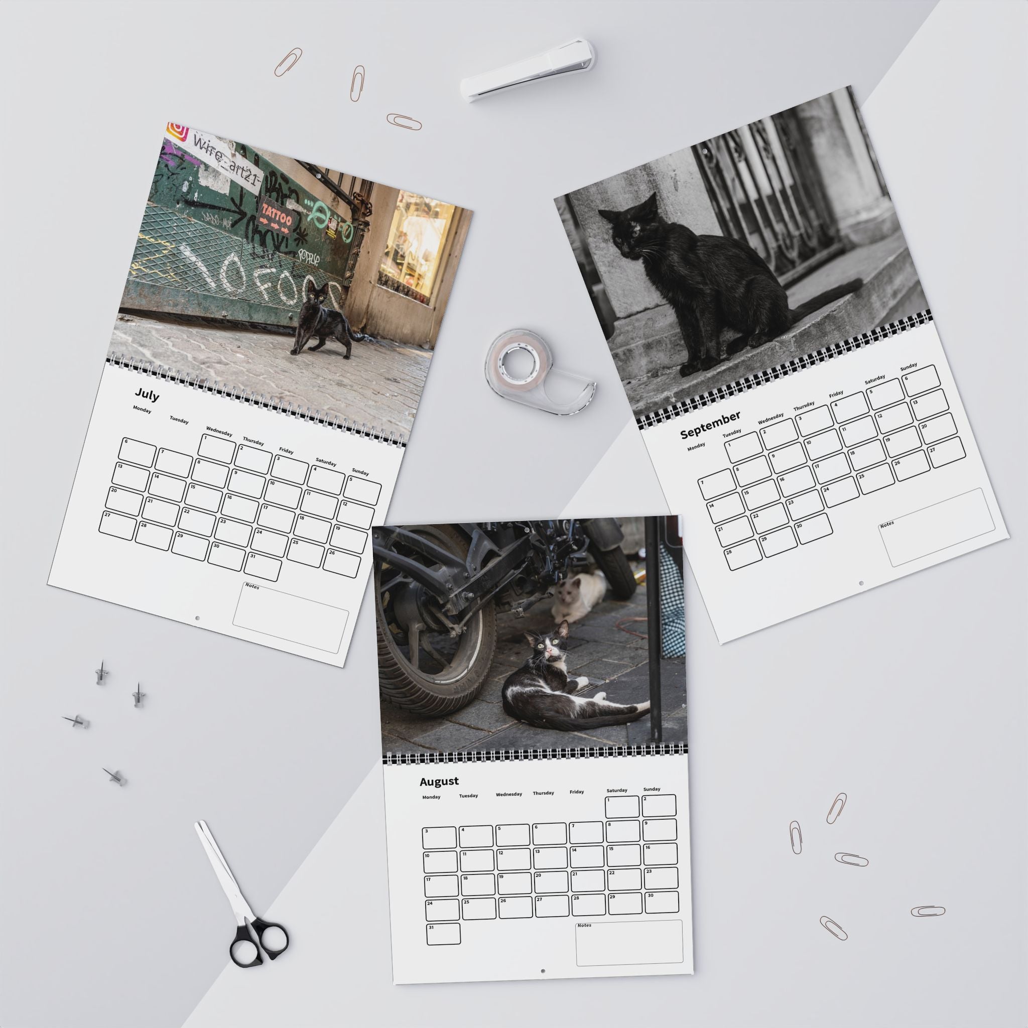 Street Cat Wall Calendar 2026 Istanbul Cats Theme