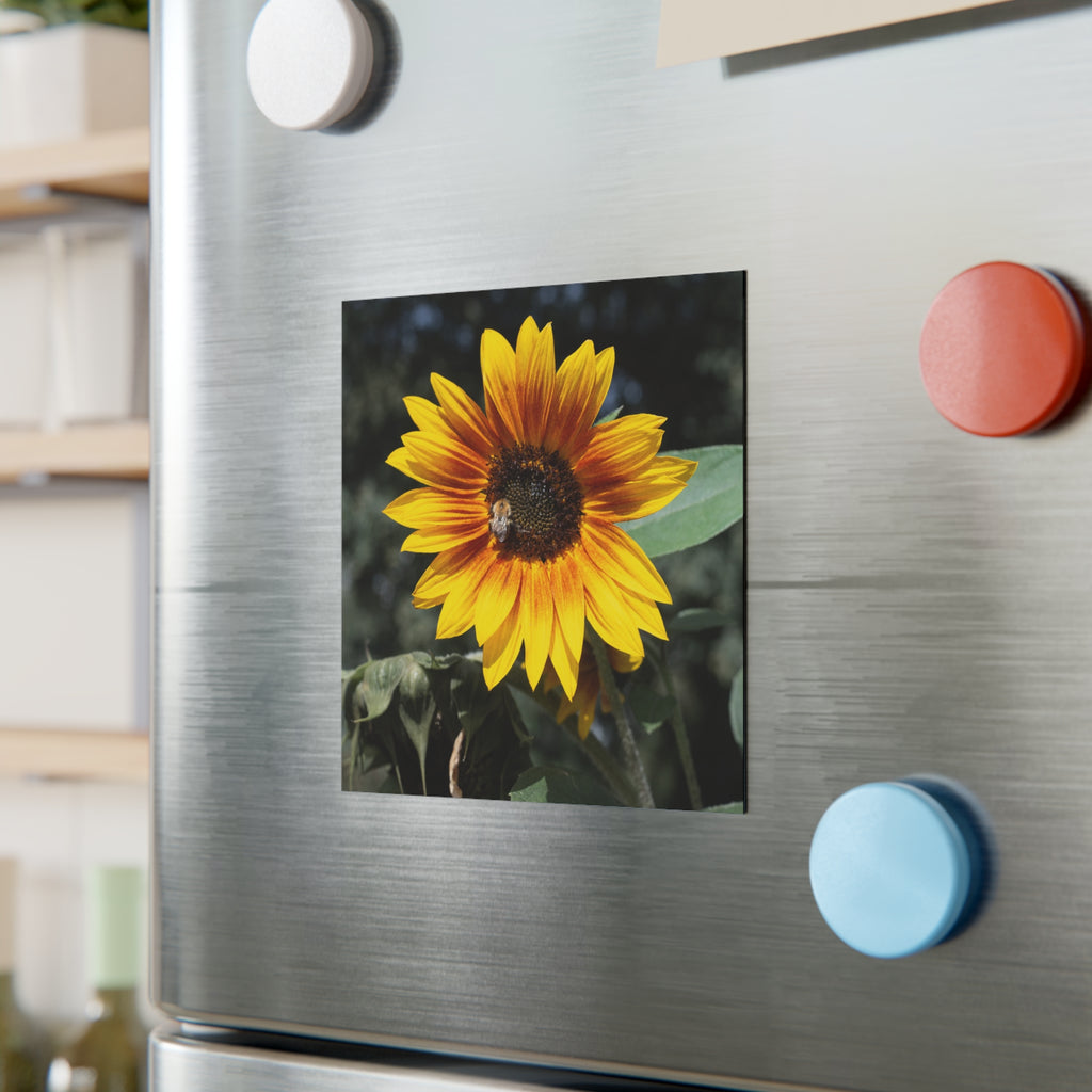 Sunflower Square Magnet — Bright Floral Refrigerator Decor