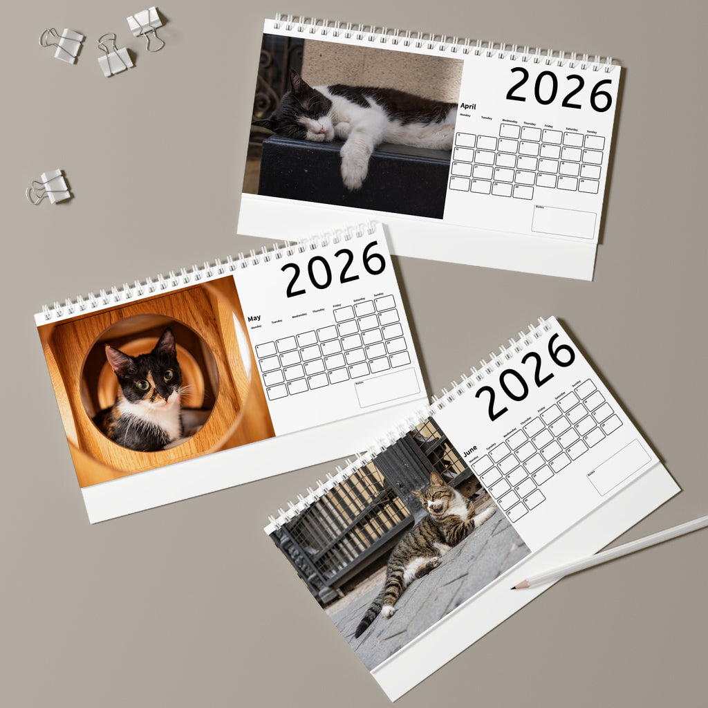 Handy Desk Calendar - Istanbul Cats Monthly Calendar and planner for Cat Lovers and Pet Fans.