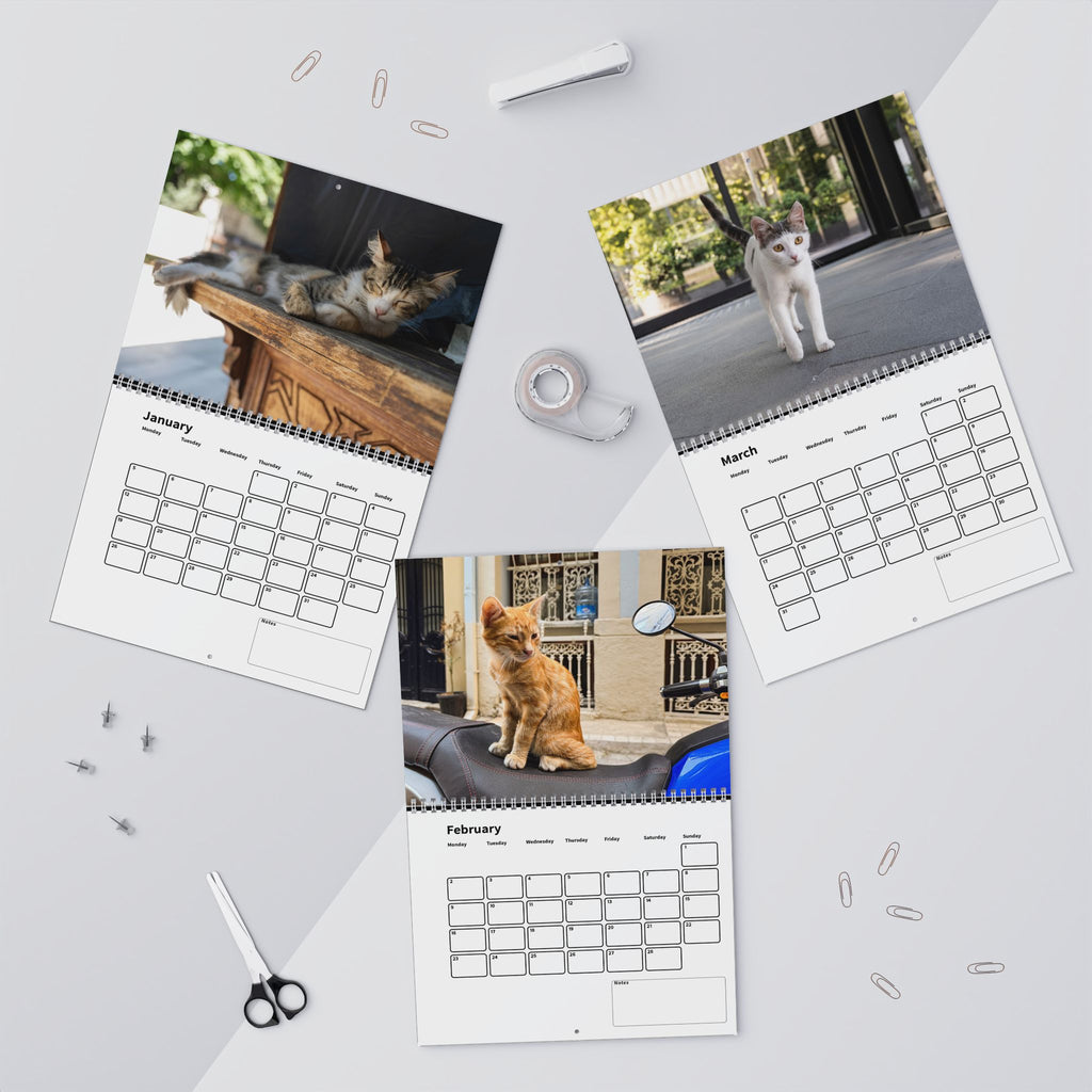 Street Cat Wall Calendar 2026 Istanbul Cats Theme