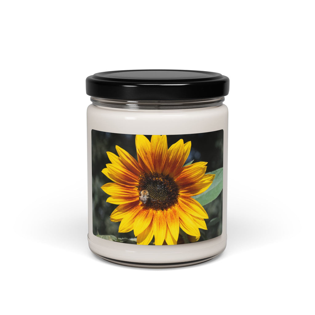 Sunflower Scented Soy Candle — 9oz Floral Jar Candle