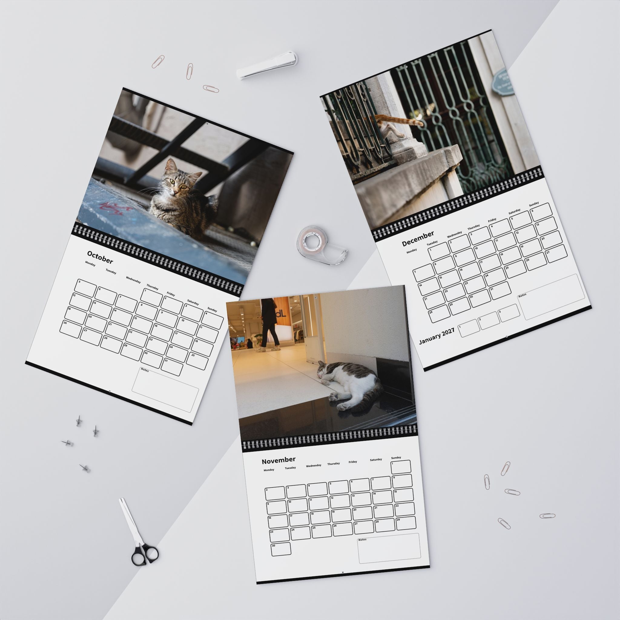 Street Cat Wall Calendar 2026 Istanbul Cats Theme