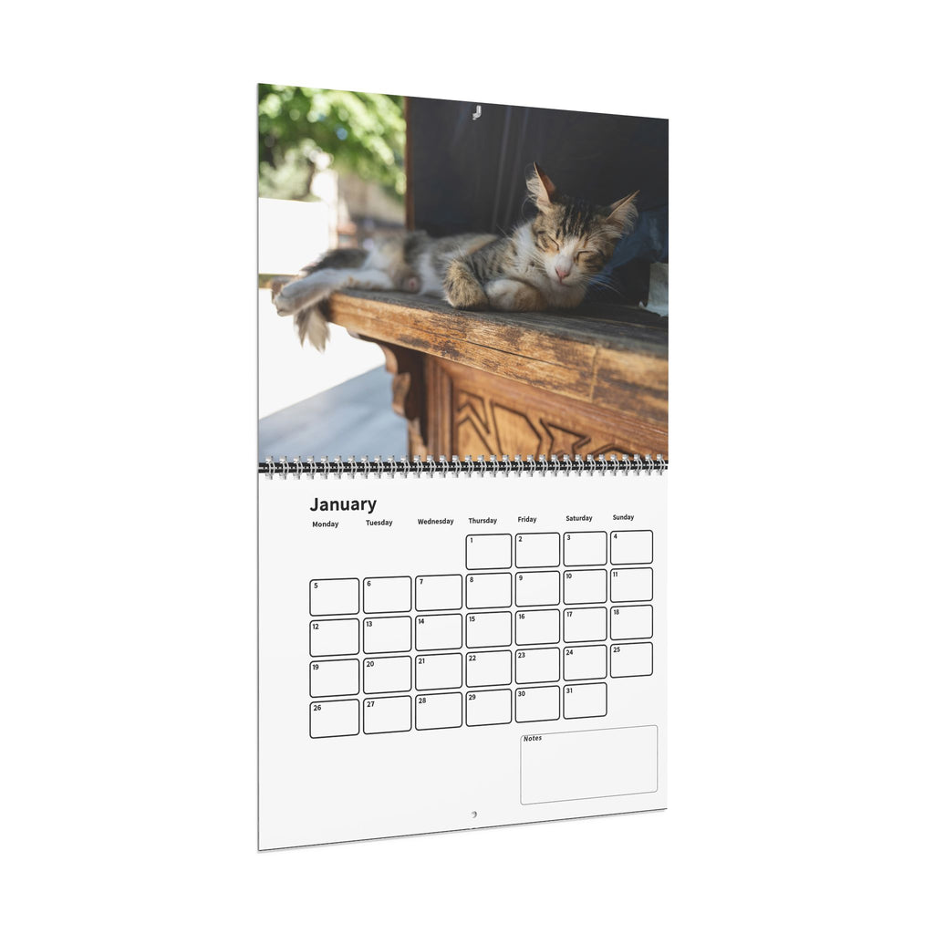 Street Cat Wall Calendar 2026 Istanbul Cats Theme