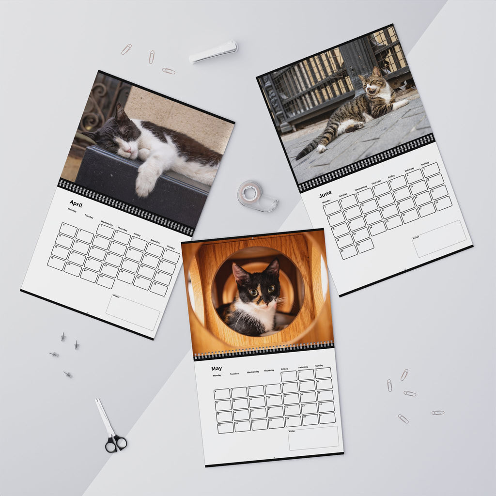 Street Cat Wall Calendar 2026 Istanbul Cats Theme