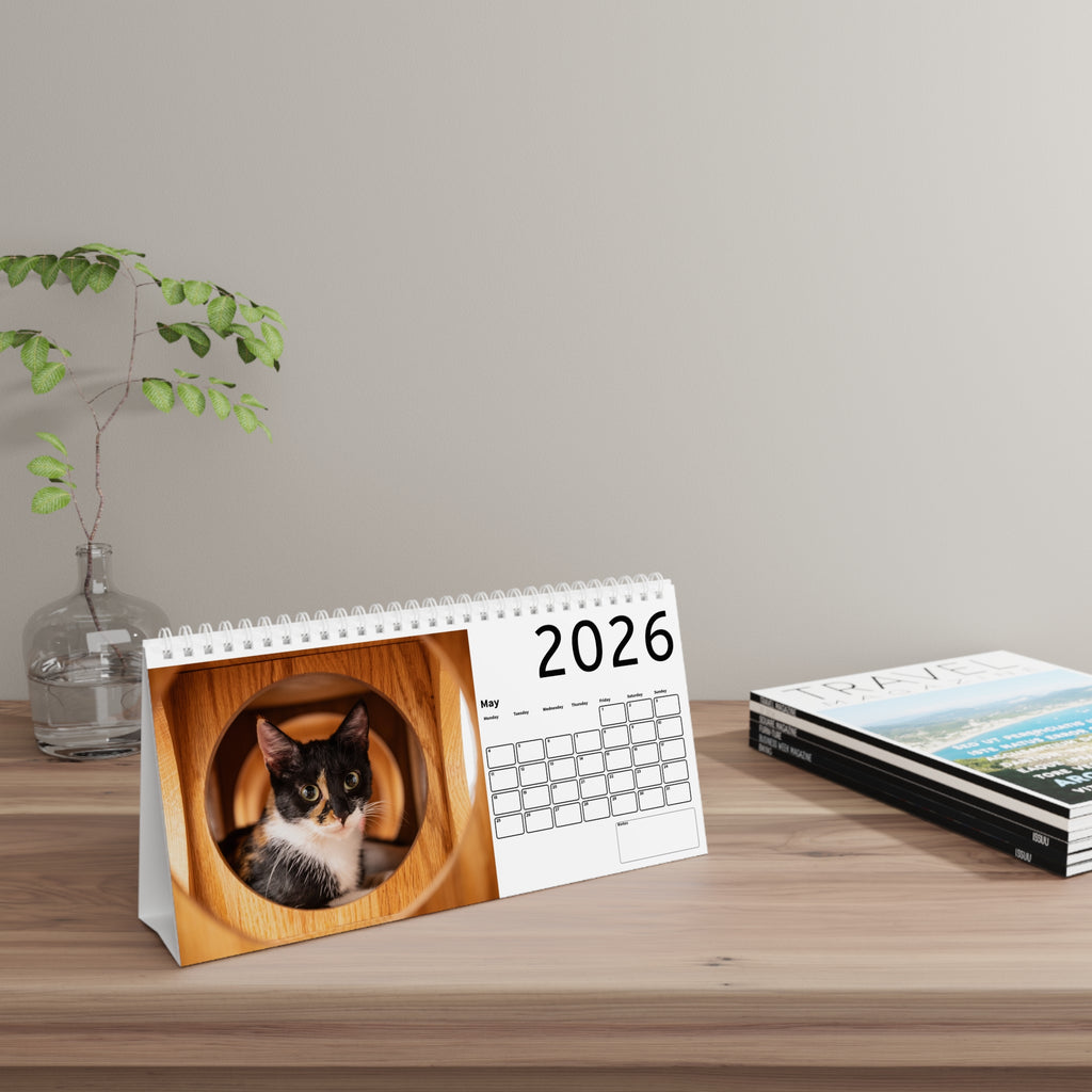 Handy Desk Calendar - Istanbul Cats Monthly Calendar and planner for Cat Lovers and Pet Fans.