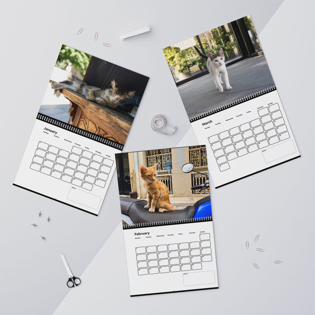 Street Cat Wall Calendar 2026 Istanbul Cats Theme