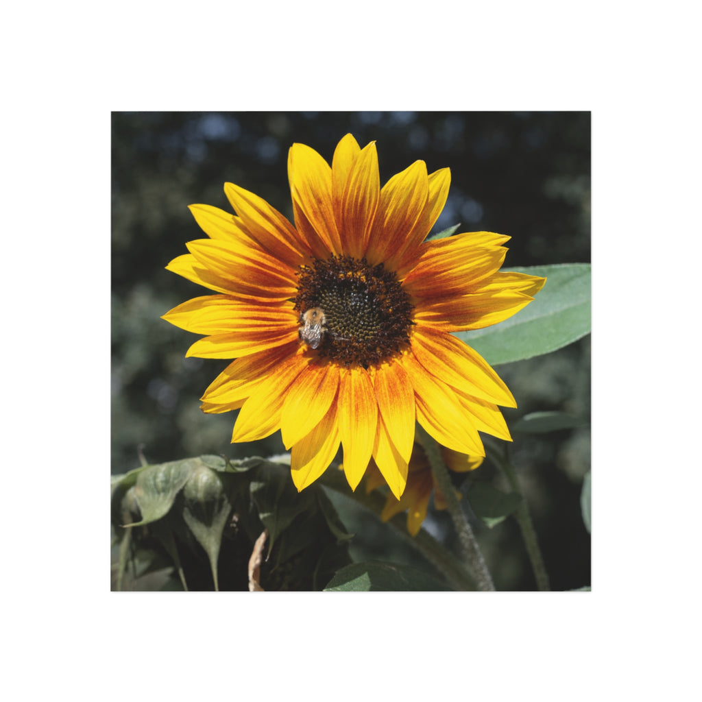 Sunflower Square Magnet — Bright Floral Refrigerator Decor