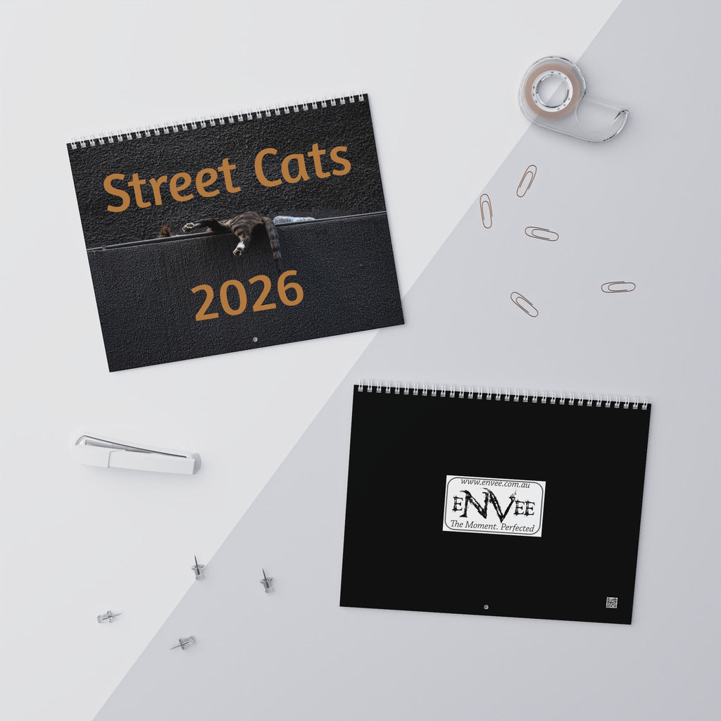 Street Cat Wall Calendar 2026 Istanbul Cats Theme