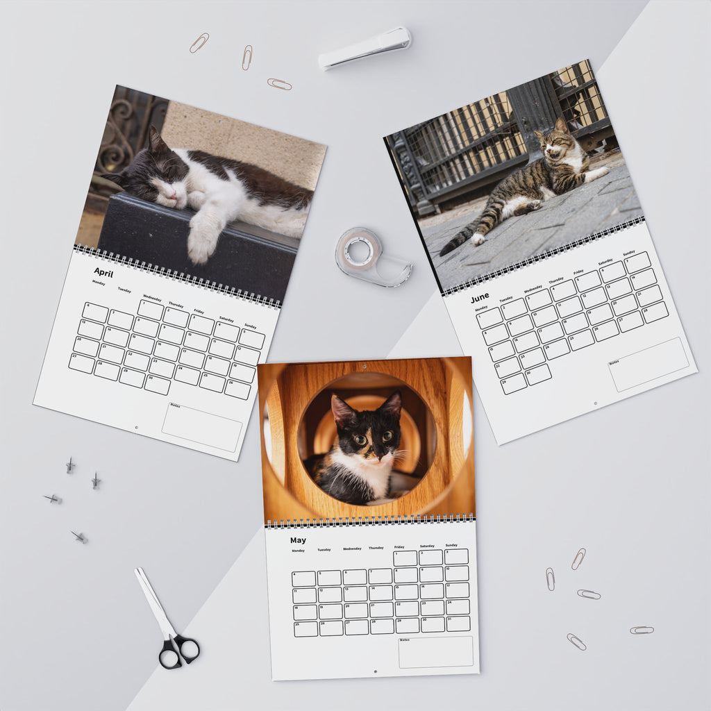 Street Cat Wall Calendar 2026 Istanbul Cats Theme
